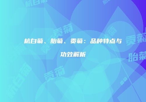 杭白菊、胎菊、贡菊：品种特点与功效解析