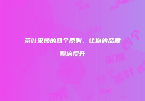 茶叶采摘的四个原则，让你的品质翻倍提升