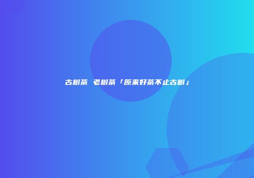 古树茶 老树茶「原来好茶不止古树」