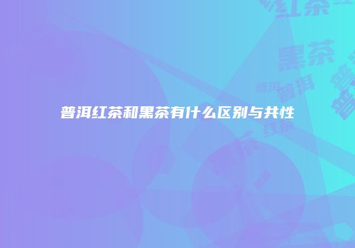 普洱红茶和黑茶有什么区别与共性