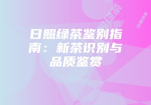 日照绿茶鉴别指南：新茶识别与品质鉴赏