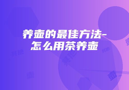 养壶的最佳方法-怎么用茶养壶