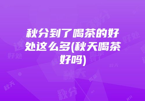 秋分到了喝茶的好处这么多(秋天喝茶好吗)