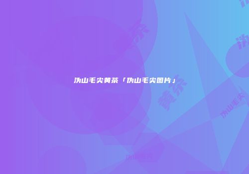 沩山毛尖黄茶「伪山毛尖图片」