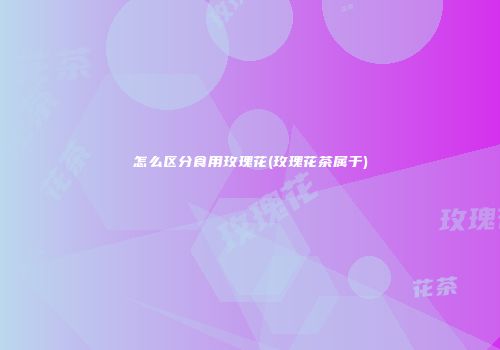 怎么区分食用玫瑰花(玫瑰花茶属于)