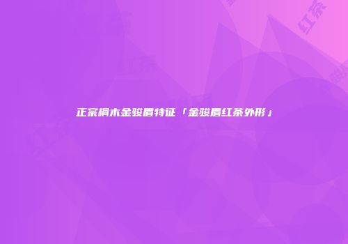 正宗桐木金骏眉特征「金骏眉红茶外形」