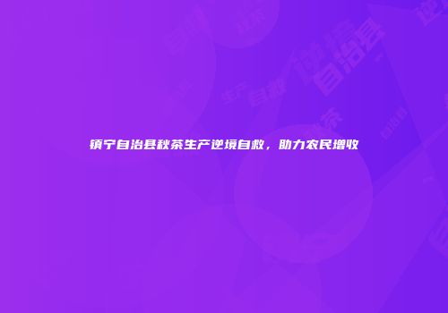 镇宁自治县秋茶生产逆境自救，助力农民增收