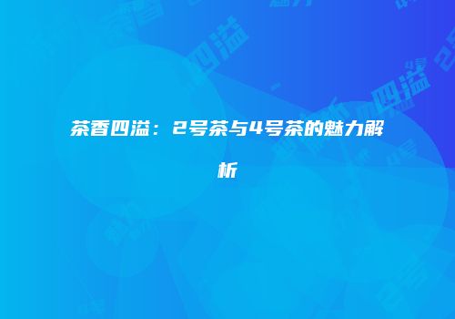 茶香四溢：2号茶与4号茶的魅力解析