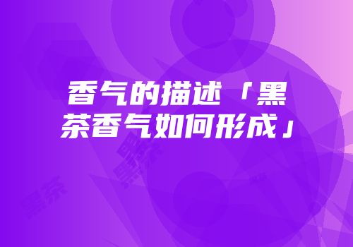 香气的描述「黑茶香气如何形成」