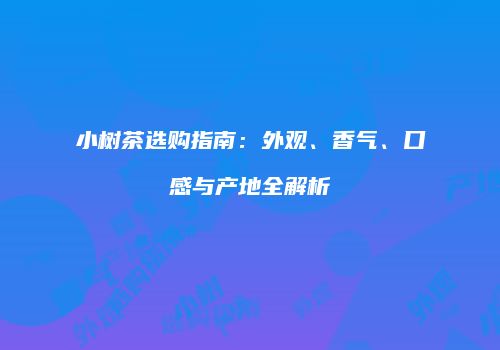 小树茶选购指南：外观、香气、口感与产地全解析