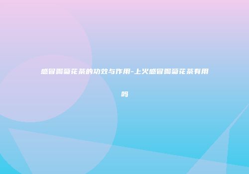 感冒喝菊花茶的功效与作用-上火感冒喝菊花茶有用吗