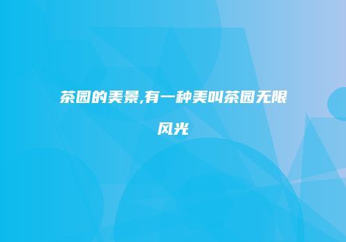 茶园的美景,有一种美叫茶园无限风光