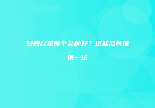 日照绿茶哪个品种好？这些品种值得一试