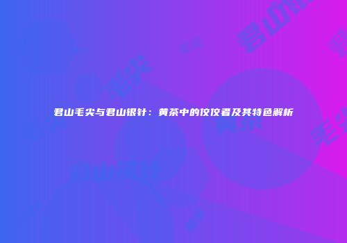 君山毛尖与君山银针：黄茶中的佼佼者及其特色解析