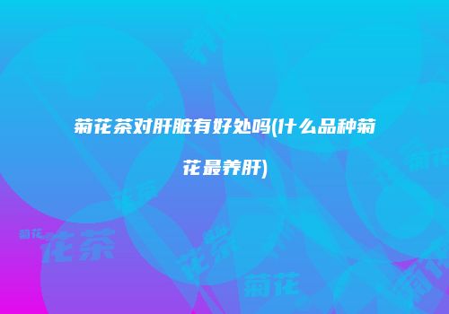 菊花茶对肝脏有好处吗(什么品种菊花最养肝)