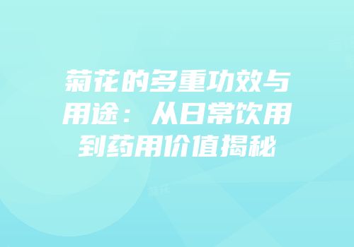 菊花的多重功效与用途：从日常饮用到药用价值揭秘