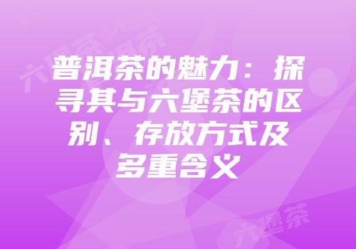 普洱茶的魅力：探寻其与六堡茶的区别、存放方式及多重含义