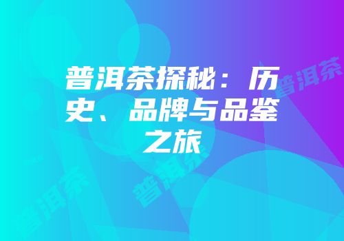 普洱茶探秘：历史、品牌与品鉴之旅