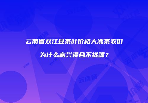 云南省双江县茶叶价格大涨茶农们为什么高兴得合不拢嘴？