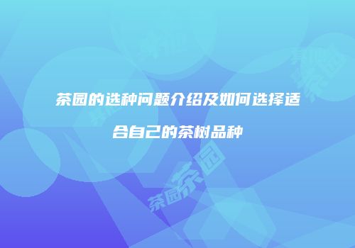 茶园的选种问题介绍及如何选择适合自己的茶树品种