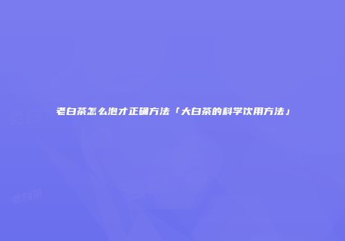 老白茶怎么泡才正确方法「大白茶的科学饮用方法」