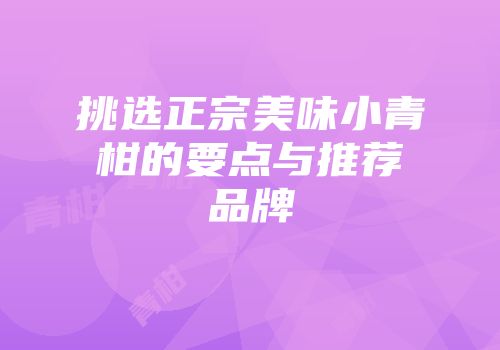 挑选正宗美味小青柑的要点与推荐品牌