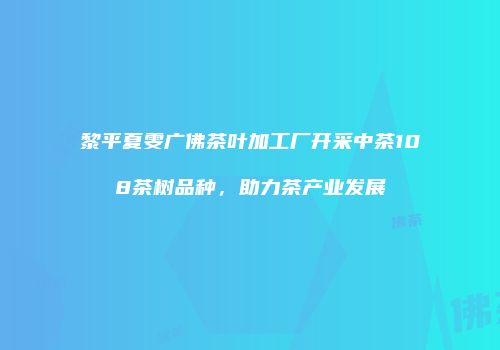 黎平夏雯广佛茶叶加工厂开采中茶108茶树品种，助力茶产业发展