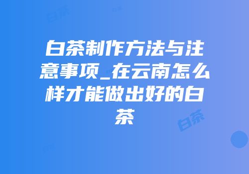 白茶制作方法与注意事项_在云南怎么样才能做出好的白茶