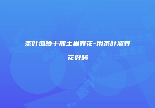 茶叶渣晒干加土里养花-用茶叶渣养花好吗