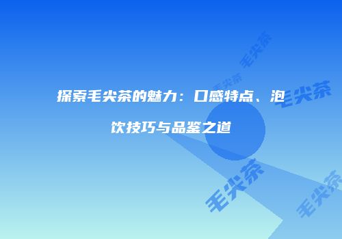 探索毛尖茶的魅力：口感特点、泡饮技巧与品鉴之道