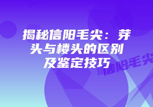 揭秘信阳毛尖：芽头与楼头的区别及鉴定技巧