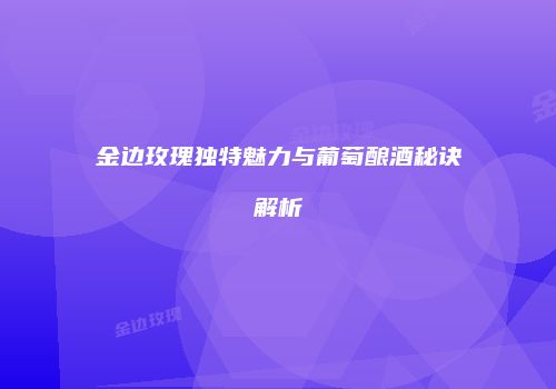 金边玫瑰独特魅力与葡萄酿酒秘诀解析