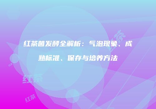 红茶菌发酵全解析：气泡现象、成熟标准、保存与培养方法