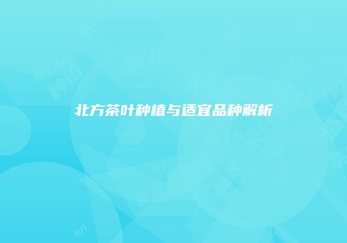 北方茶叶种植与适宜品种解析