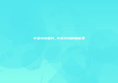 中茶108图片_中茶108种植前景