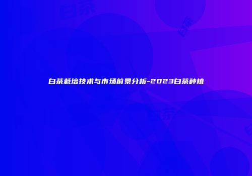白茶栽培技术与市场前景分析-2023白茶种植