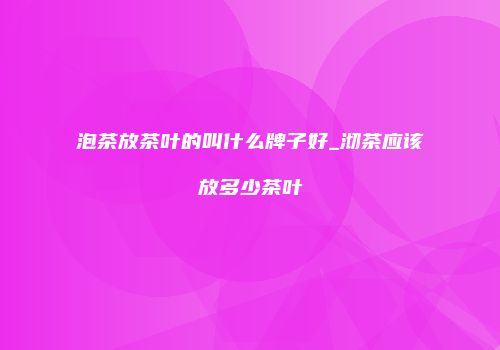 泡茶放茶叶的叫什么牌子好_沏茶应该放多少茶叶