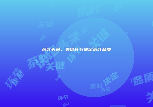 茶叶头采：关键环节决定茶叶品质