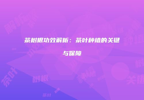 茶树根功效解析：茶叶种植的关键与保障