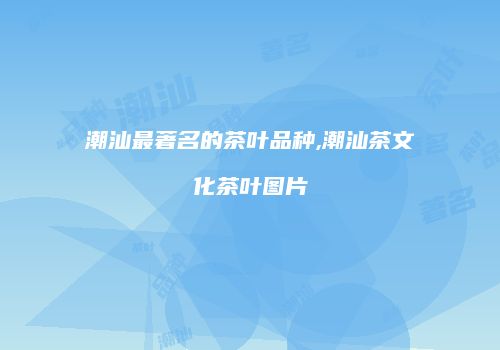 潮汕最著名的茶叶品种,潮汕茶文化茶叶图片