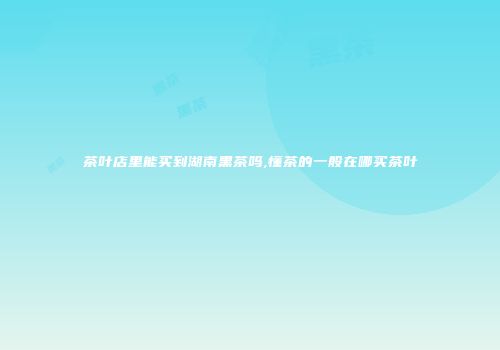 茶叶店里能买到湖南黑茶吗,懂茶的一般在哪买茶叶