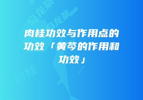 肉桂功效与作用点的功效「黄芩的作用和功效」
