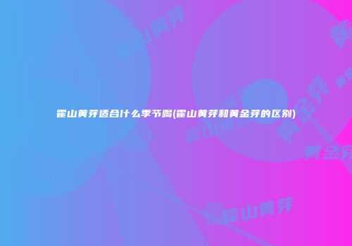 霍山黄芽适合什么季节喝(霍山黄芽和黄金芽的区别)