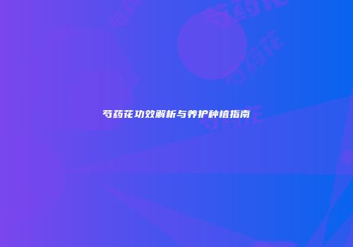 芍药花功效解析与养护种植指南