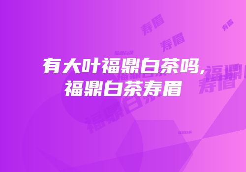 有大叶福鼎白茶吗,福鼎白茶寿眉