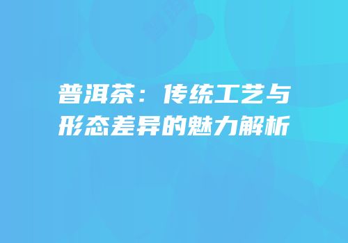 普洱茶：传统工艺与形态差异的魅力解析