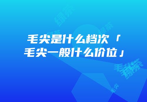 毛尖是什么档次「毛尖一般什么价位」