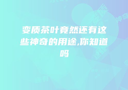 变质茶叶竟然还有这些神奇的用途,你知道吗