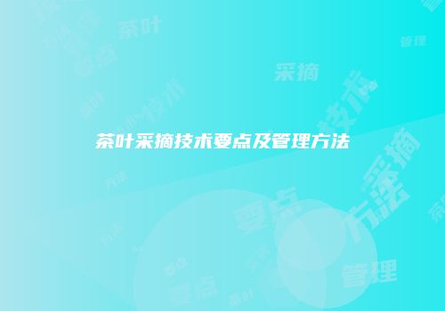 茶叶采摘技术要点及管理方法
