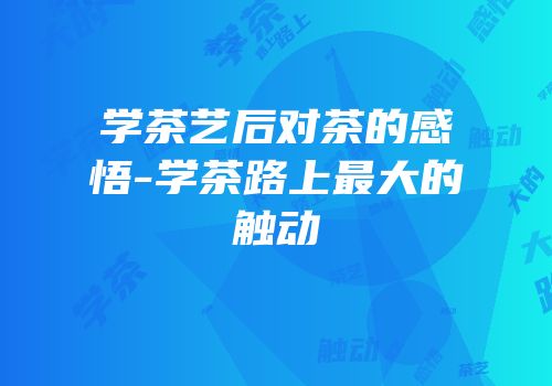 学茶艺后对茶的感悟-学茶路上最大的触动